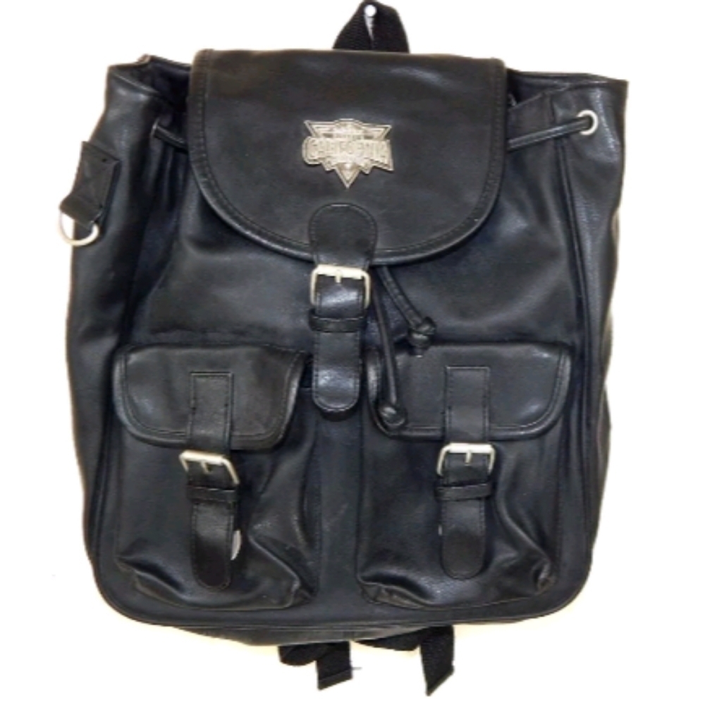 Disneyland California Adventure Mini Backpack